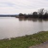 04 unterwegs im zbinger forst 7